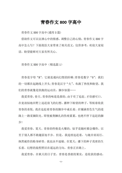 青春作文800字高中