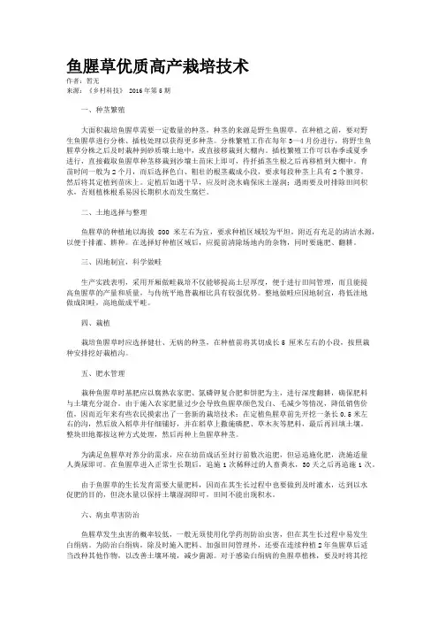 鱼腥草优质高产栽培技术