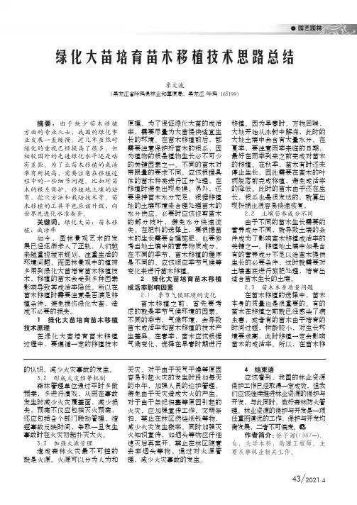 绿化大苗培育苗木移植技术思路总结