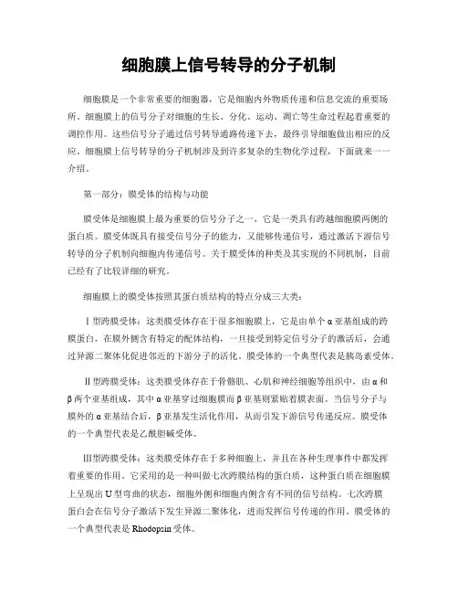细胞膜上信号转导的分子机制