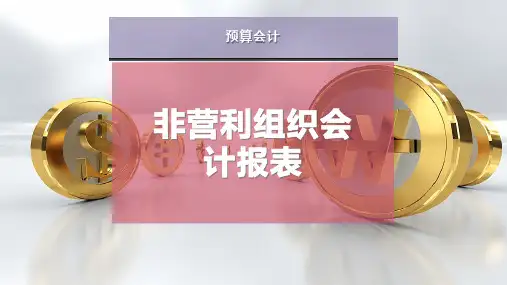 非营利组织会计报表
