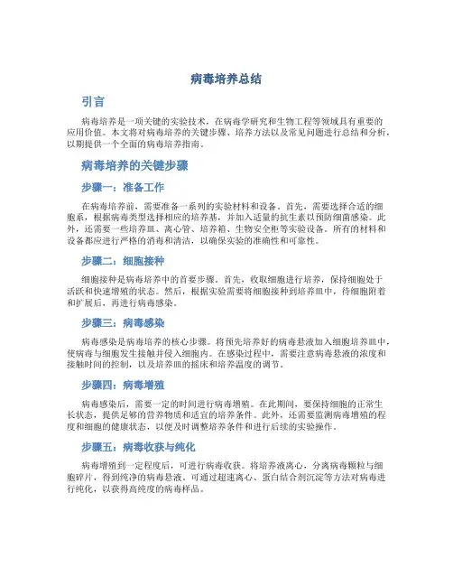病毒培养总结