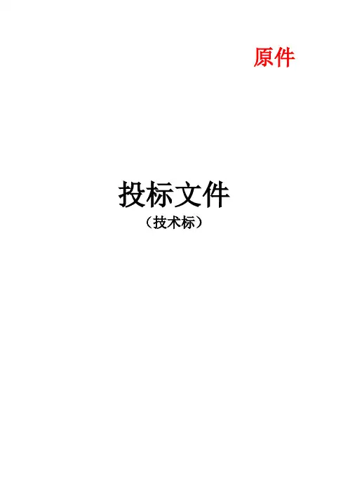 发光字体亮化工程(技术标)