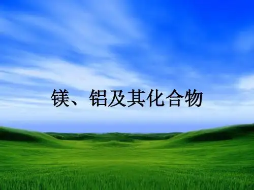 11镁铝及其化合物