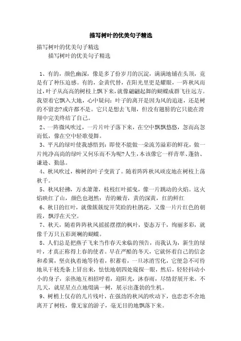 描写树叶的优美句子精选（精简版）