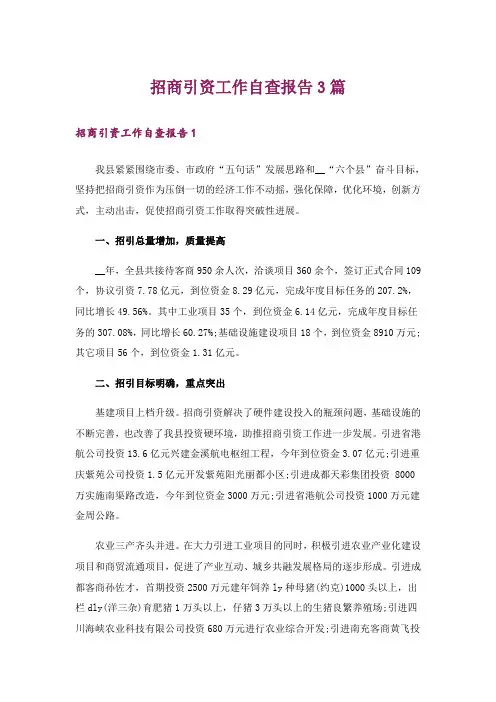 招商引资工作自查报告3篇