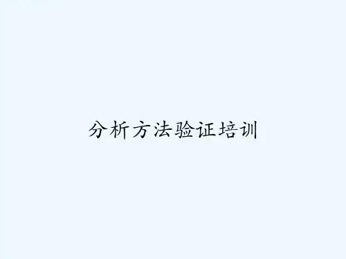 2024年分析方法验证培训+PPT