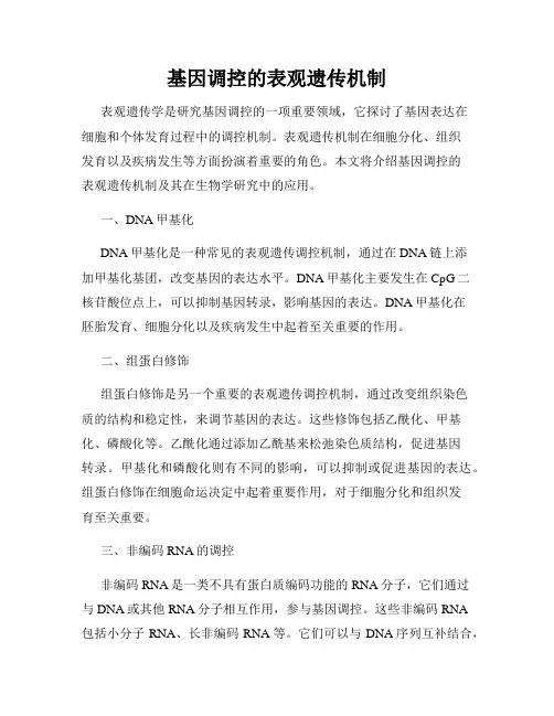 基因调控的表观遗传机制