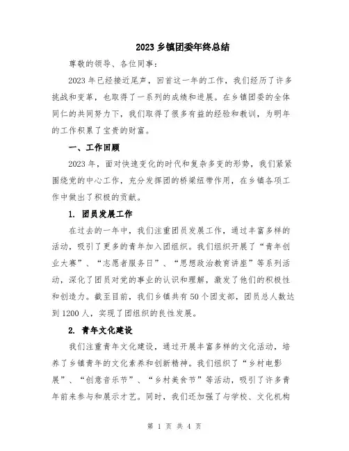 2023乡镇团委年终总结