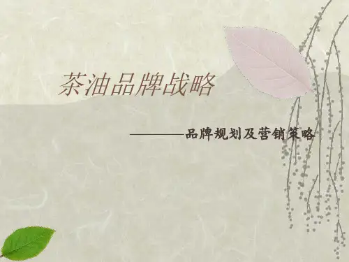 营销管理-茶油品牌战略规划及营销发展策略