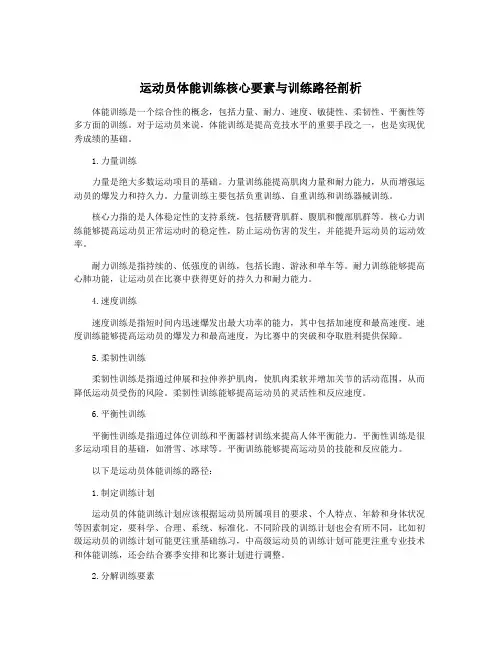 运动员体能训练核心要素与训练路径剖析