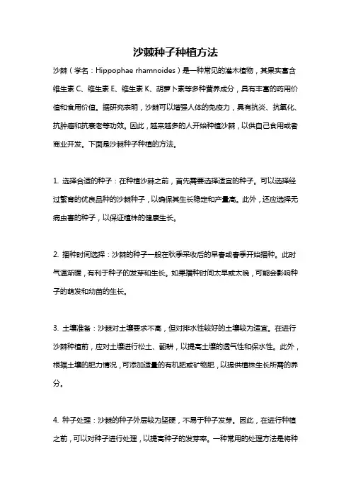 沙棘种子种植方法