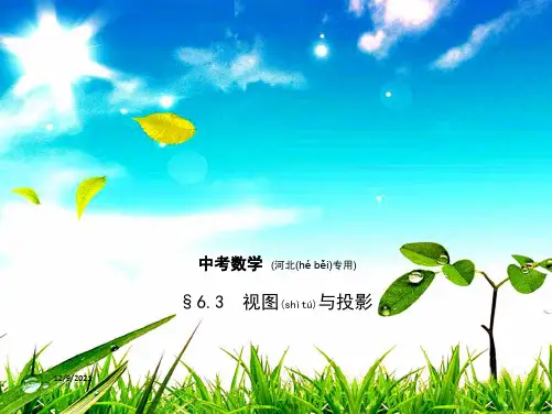 中考数学一轮复习 第六章 图形的变换 6.3 视图与投影(试卷部分)课件