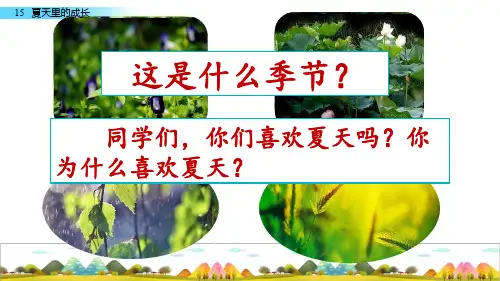 六年级上册语文课件-15 夏天里的成长人教(部编版) (共60张PPT)
