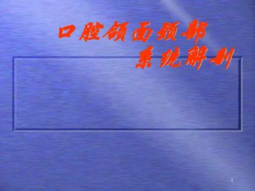 口腔颌面颈部系统解剖ppt课件