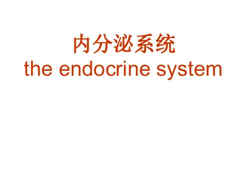 系统解剖学课件：内分泌系统