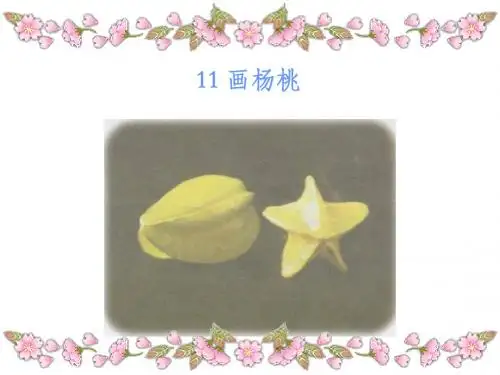 新课标人教版小学三年级语文下册：11 画杨桃PPT、优质教学课件