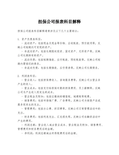 担保公司报表科目解释