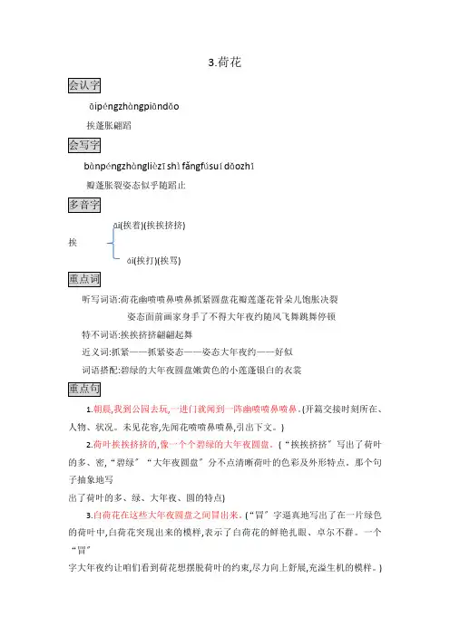 部编版三年级语文下册知识点总结课堂笔记3.荷花
