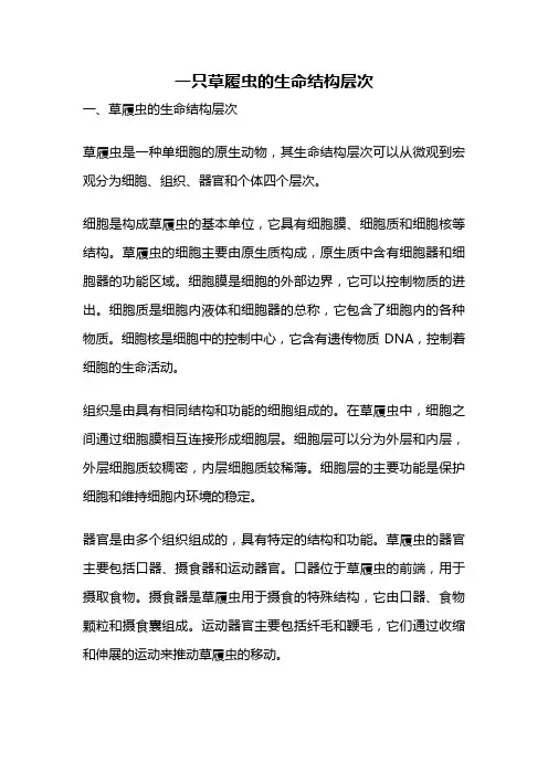 一只草履虫的生命结构层次