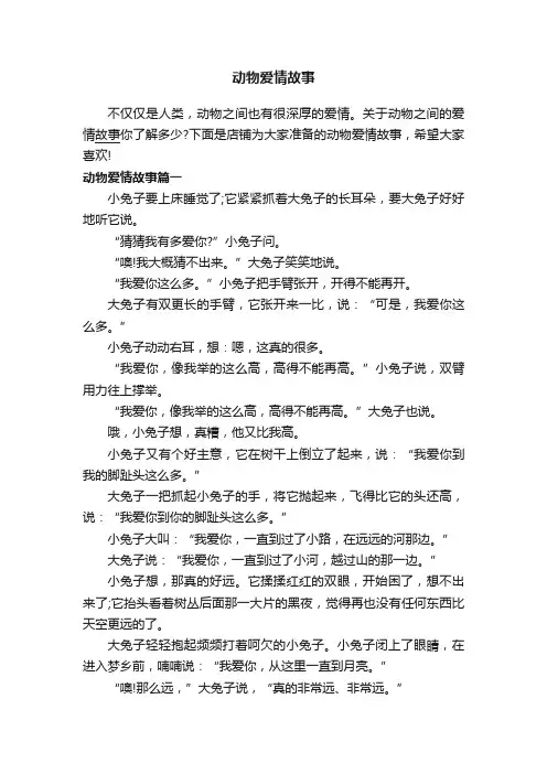 动物爱情故事