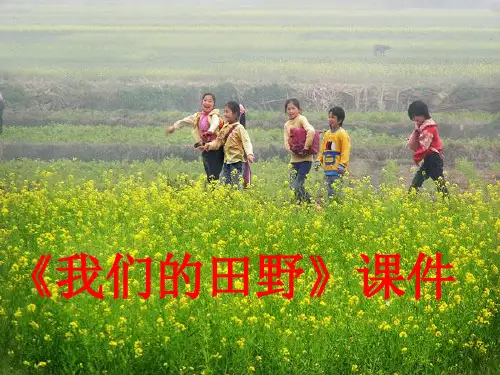 《我们的田野》2PPT课件