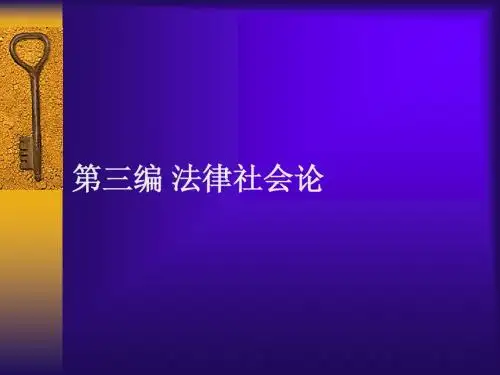 第十七章 法律与社会