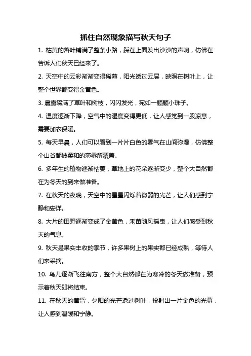 抓住自然现象描写秋天句子