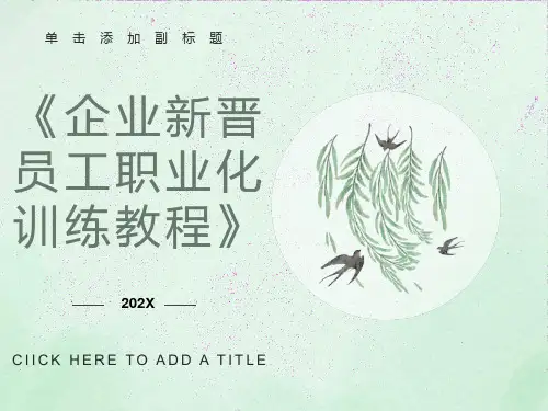 企业新晋员工职业化训练教程