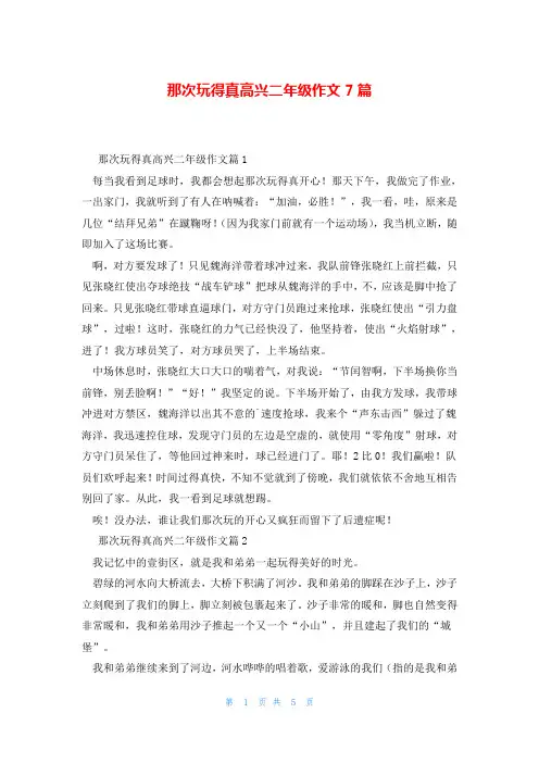 那次玩得真高兴二年级作文7篇