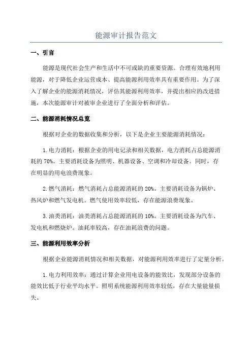 能源审计报告范文