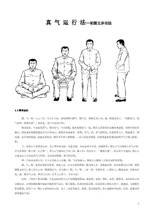 真 气 运 行 法--初级五步功法