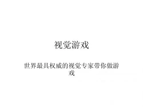 视觉游戏