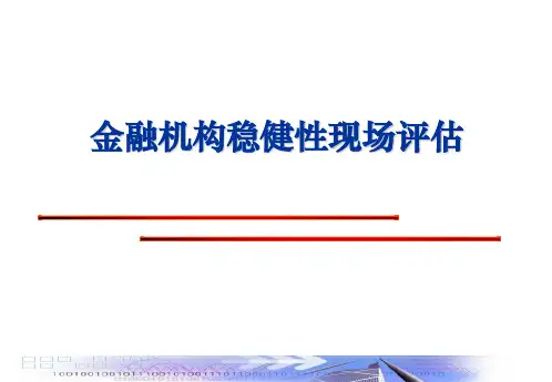 金融机构稳健性现场评估精讲