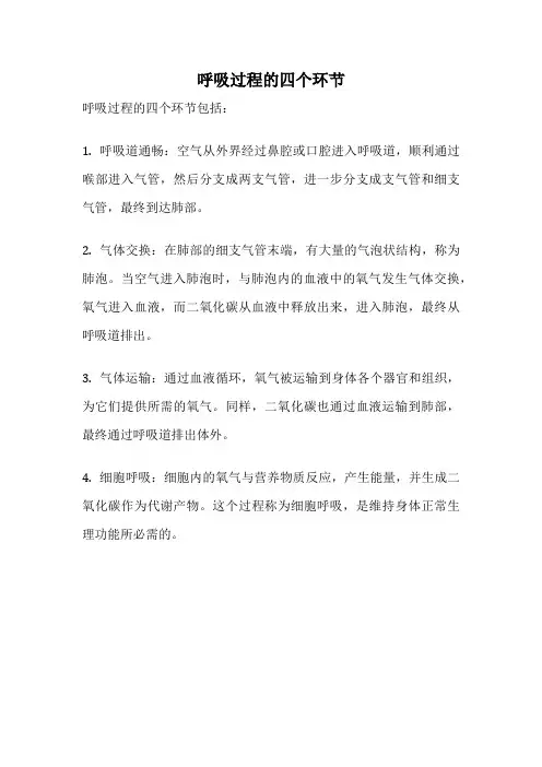 呼吸过程的四个环节
