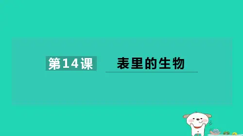 六年级语文下册第四单元14表里的生物习题新人教版