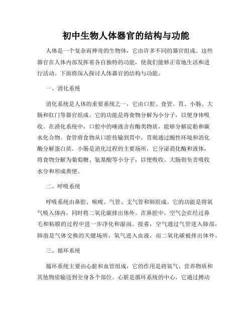 初中生物人体器官的结构与功能