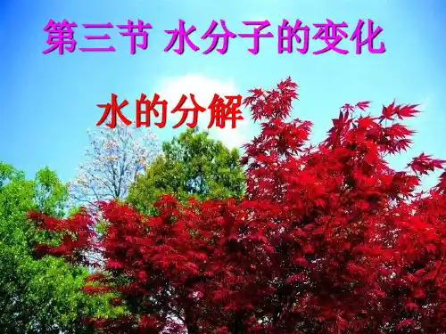 水的分解