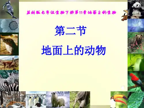 苏科版生物七年级下册5.11.2地面上的动物 课件(共23张PPT)