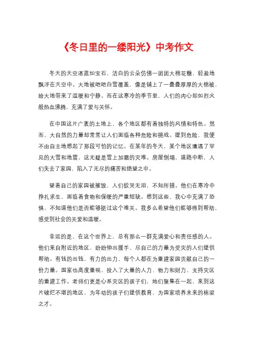 《冬日里的一缕阳光》中考作文