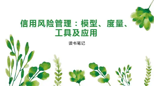 信用风险管理 模型 度量 工具及应用
