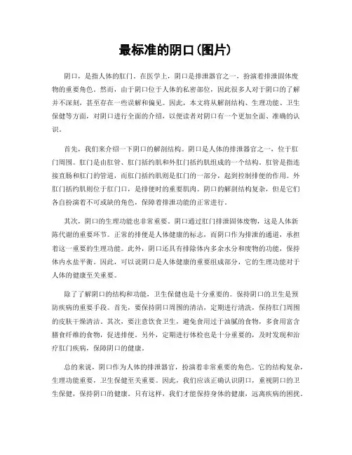 最标准的阴口(图片)
