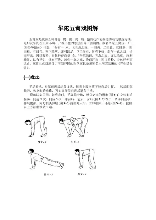 华佗五禽戏图解