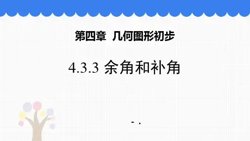 《余角和补角》图形初步认识PPT课件