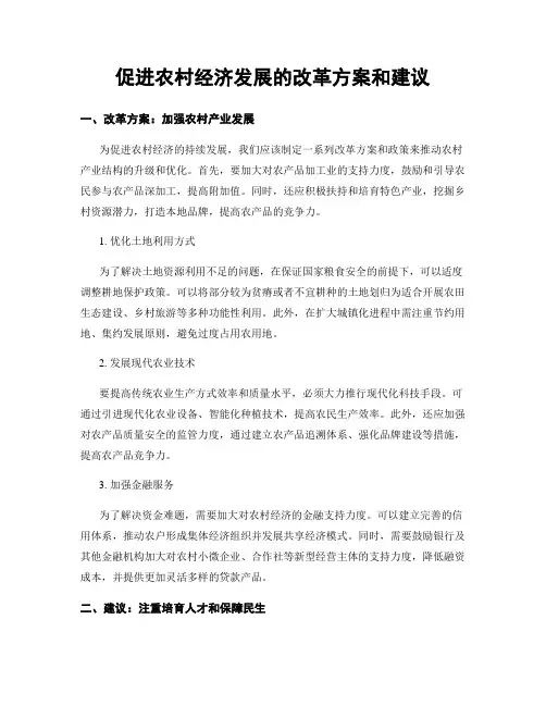 促进农村经济发展的改革方案和建议