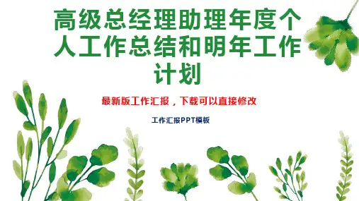 高级总经理助理年度个人工作总结和明年工作计划PPT模板下载