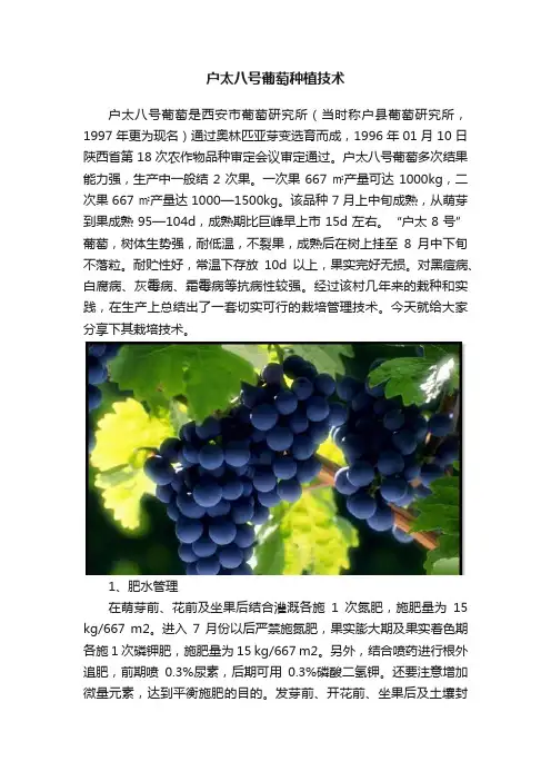 户太八号葡萄种植技术
