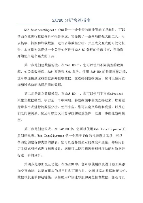 SAPBO分析快速指南