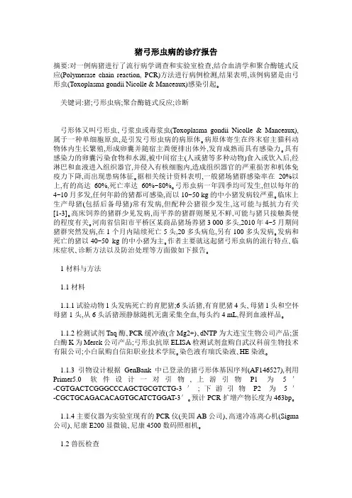 猪弓形虫病的诊疗报告