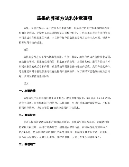 茄果的养殖方法和注意事项